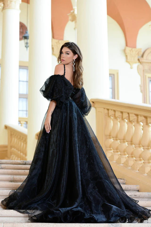 Beautiful Long Tulle Prom Dress Puffy Sleeve Formal Evening Gown – FloraShe